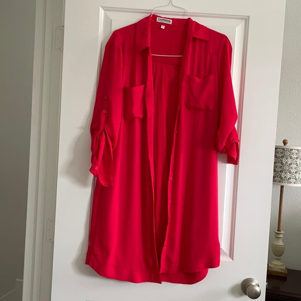 Express shirt dress